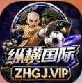纵横国际